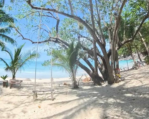 Basic Beach Front Family Room for 4 Persons