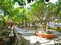 Comfort Villa