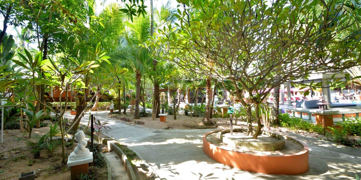 Comfort Villa