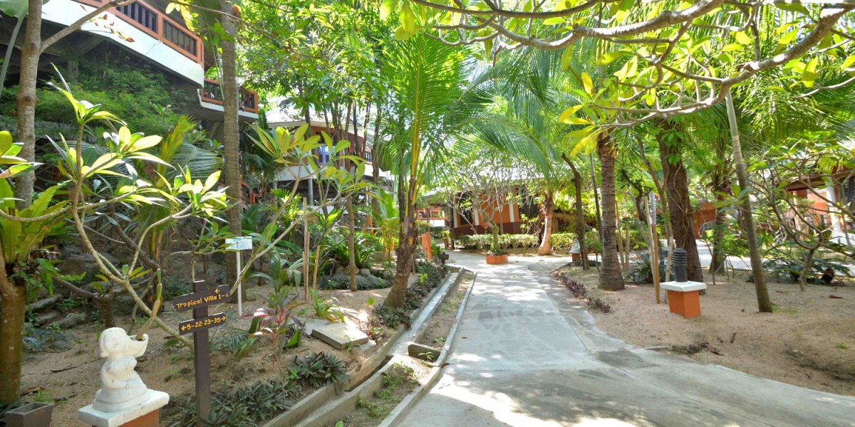 Comfort Villa