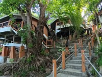 Hill Villa