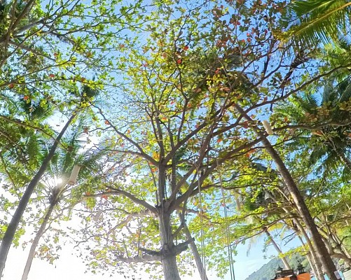 The Hideaway Pariya Haad Yuan Ko Pha-ngan