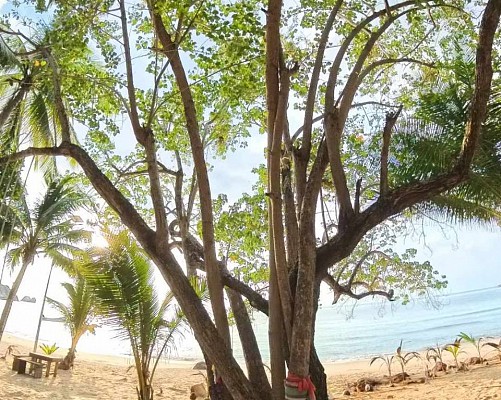 The Hideaway Pariya Haad Yuan Ko Pha-ngan