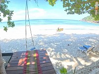 Beachfront Restaurant in Koh Phangan