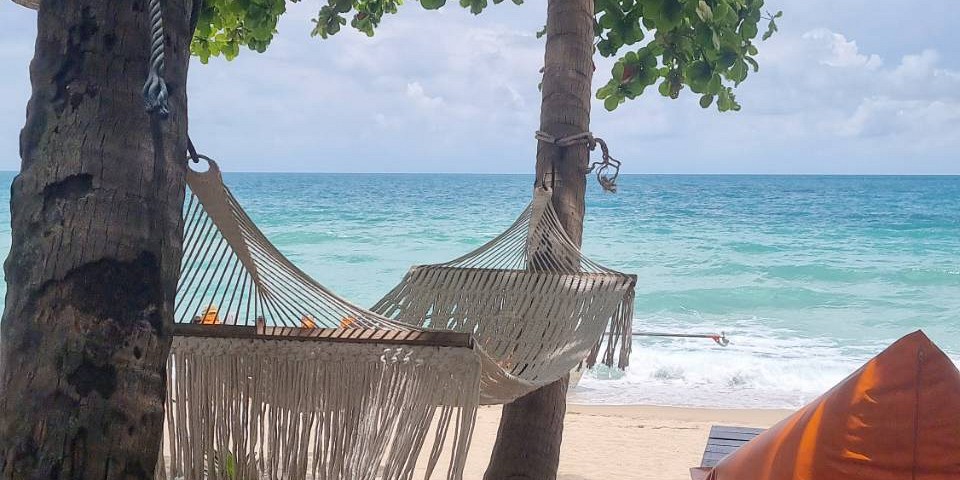 Beachfront Restaurant in Koh Phangan